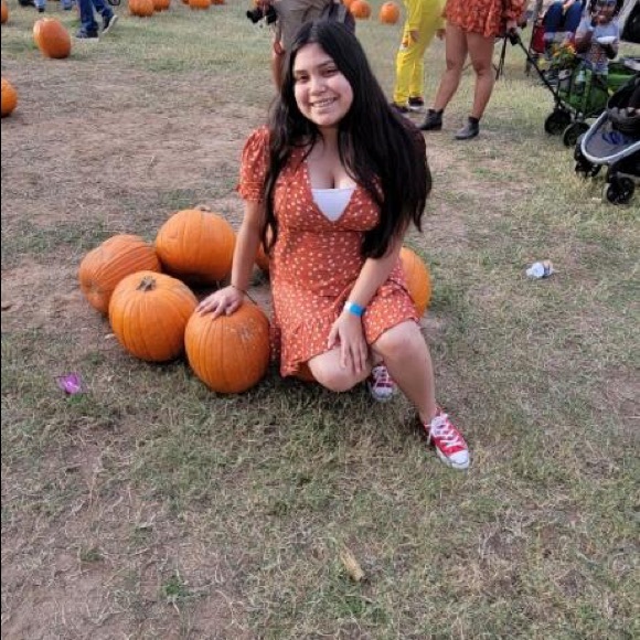 Meet your Posher, Daxiry - Picture 2 of 2